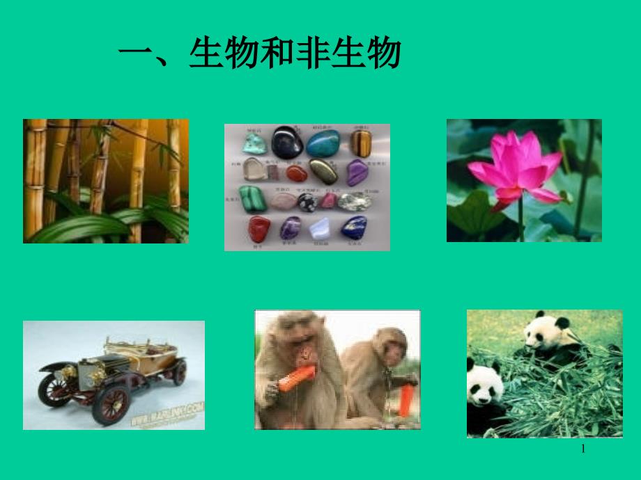 生物和非生物_第1页