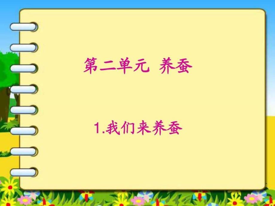 蘇教版科學(xué)四下我們來養(yǎng)蠶課件_第1頁