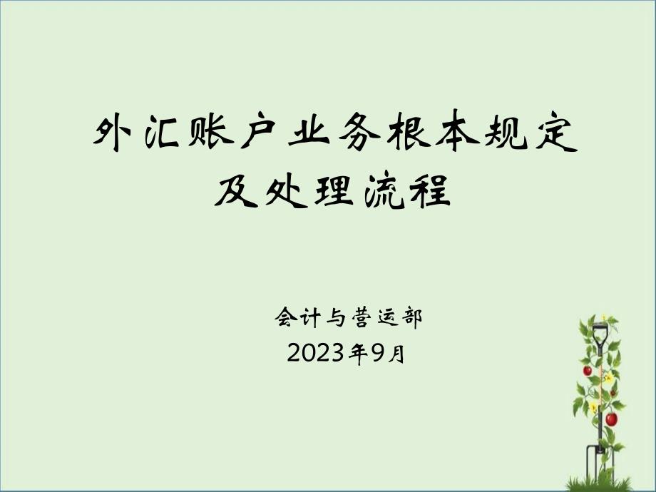 5.外汇账户业务基本规定及处理流程解析_第1页