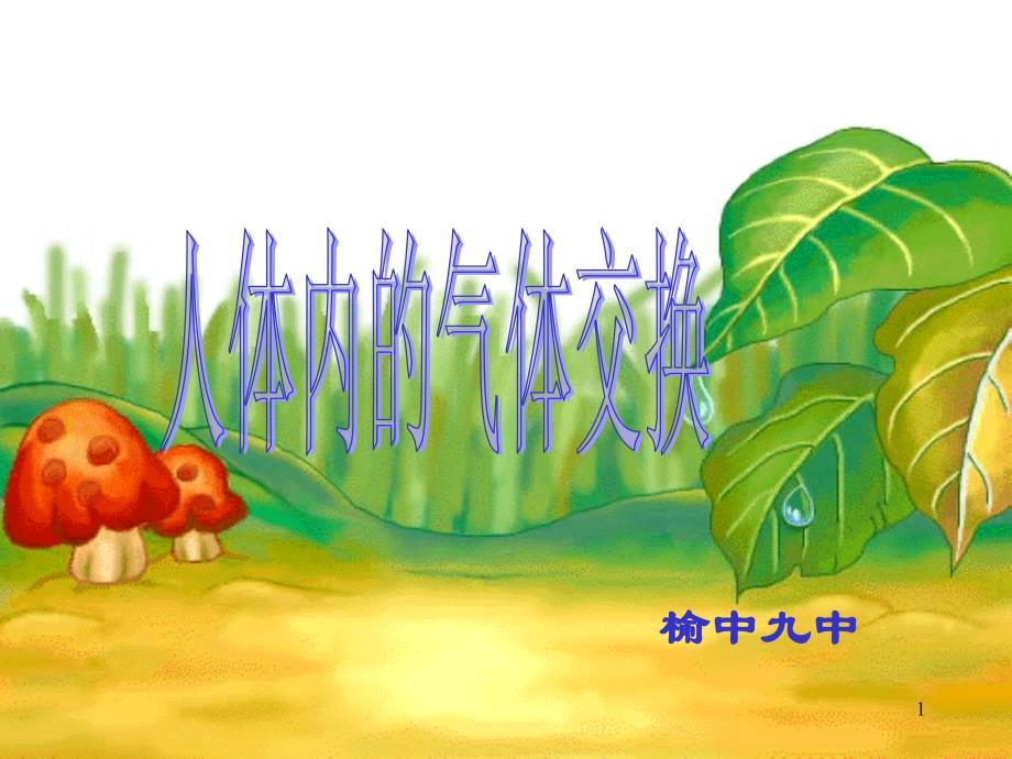 生物演示文稿_第1页