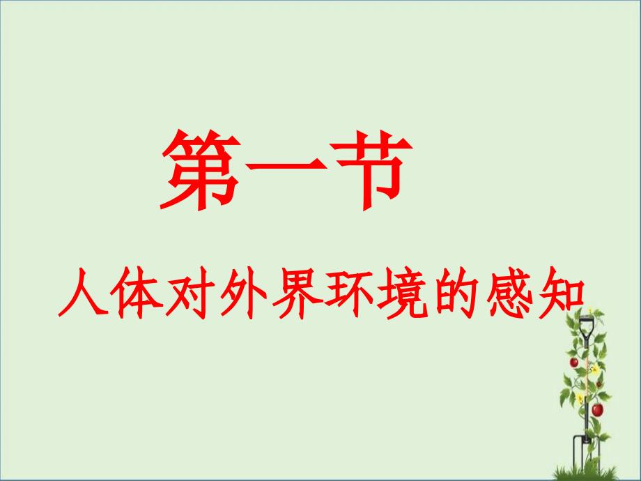 6.1人体对外界环境的感知--第一课时眼和视觉资料_第1页