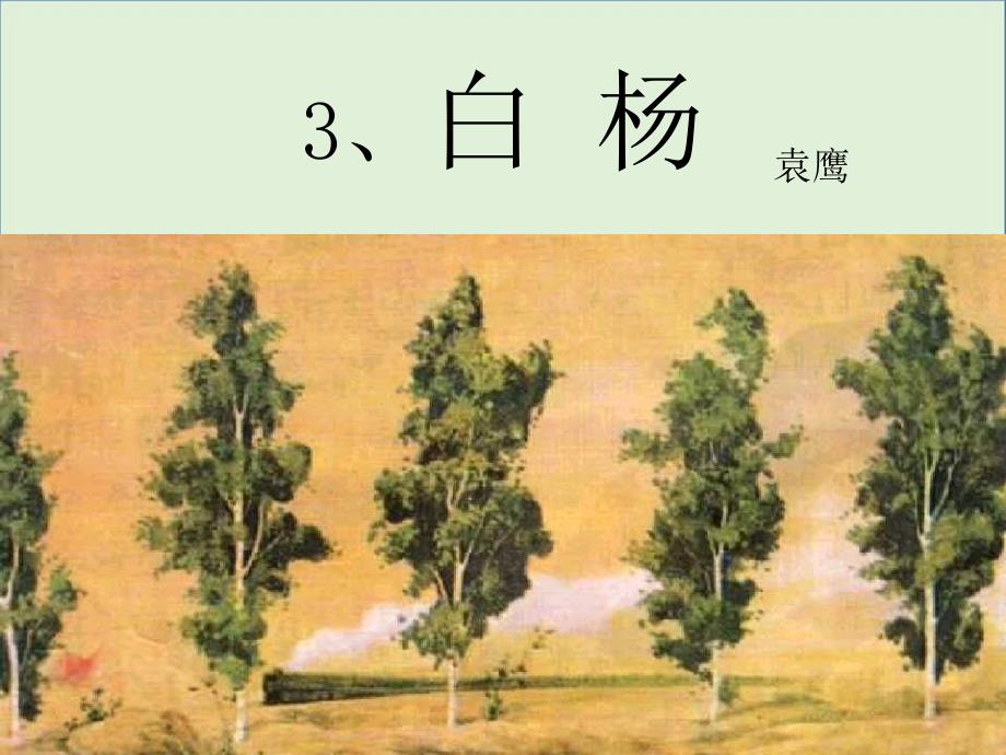 3、《白杨》课件_第1页