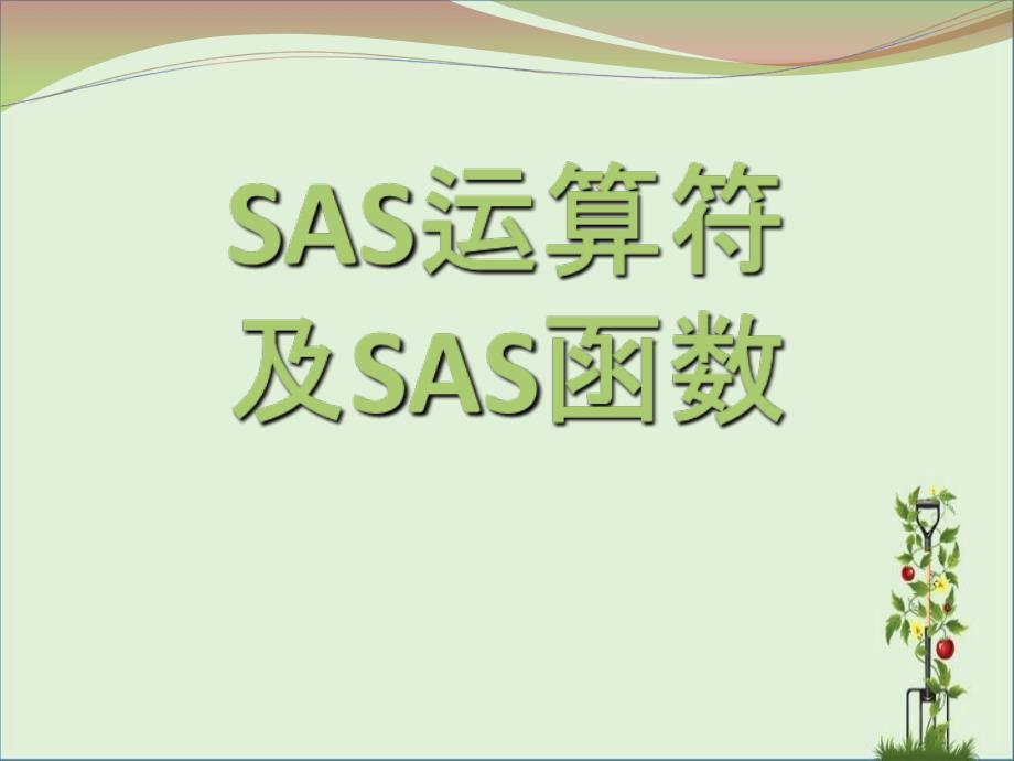 3-SAS运算符分析_第1页