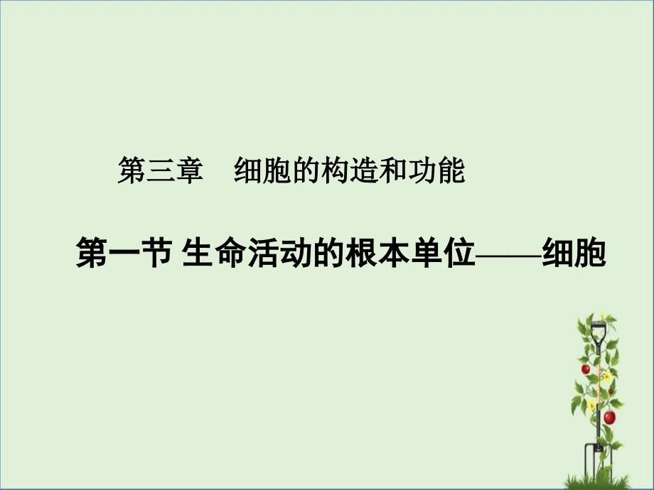 3.1生命活动的基本单位——细胞课件剖析_第1页