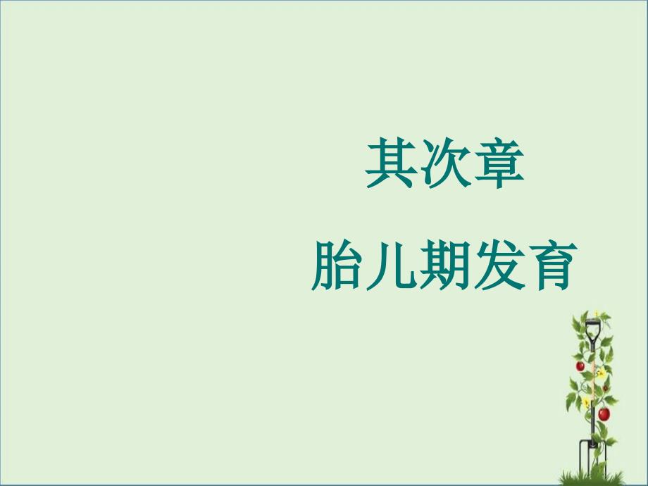 2《人体发育学》第二章胎儿期发育剖析_第1页