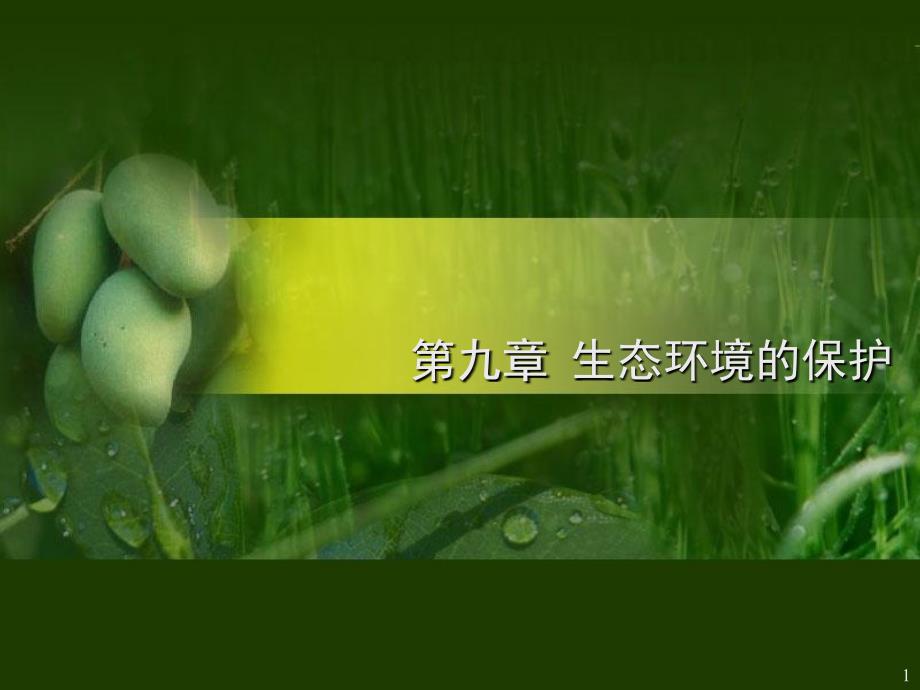 生物多样性及其保护1_第1页