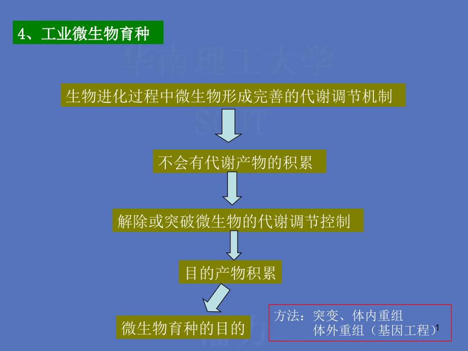 生物进化过程中微生物形成完善的代谢调节机制_第1页