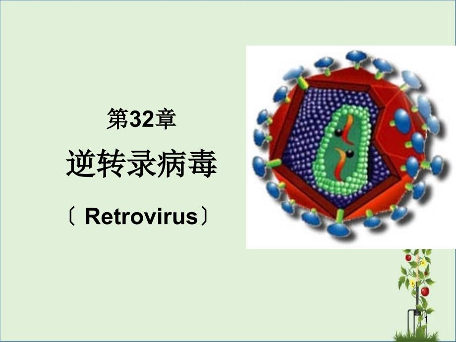 7第32章-逆转录病毒总结_第1页