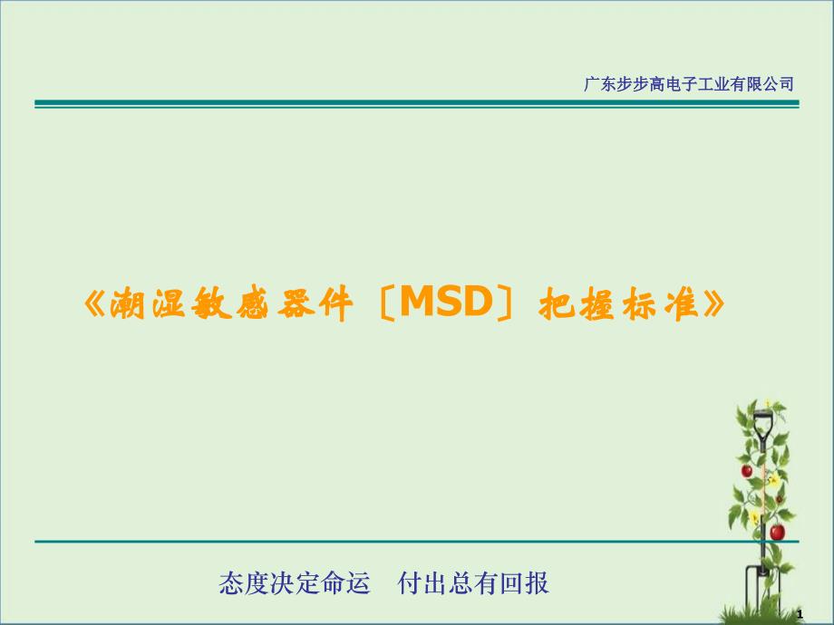 MSD控制规范培训教材解析_第1页