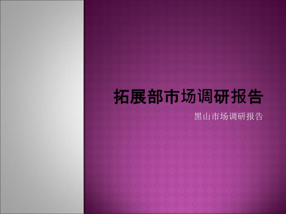 辽宁锦州黑山广场项目拓展部市场调研报告（黑山市场调研部 30_第1页