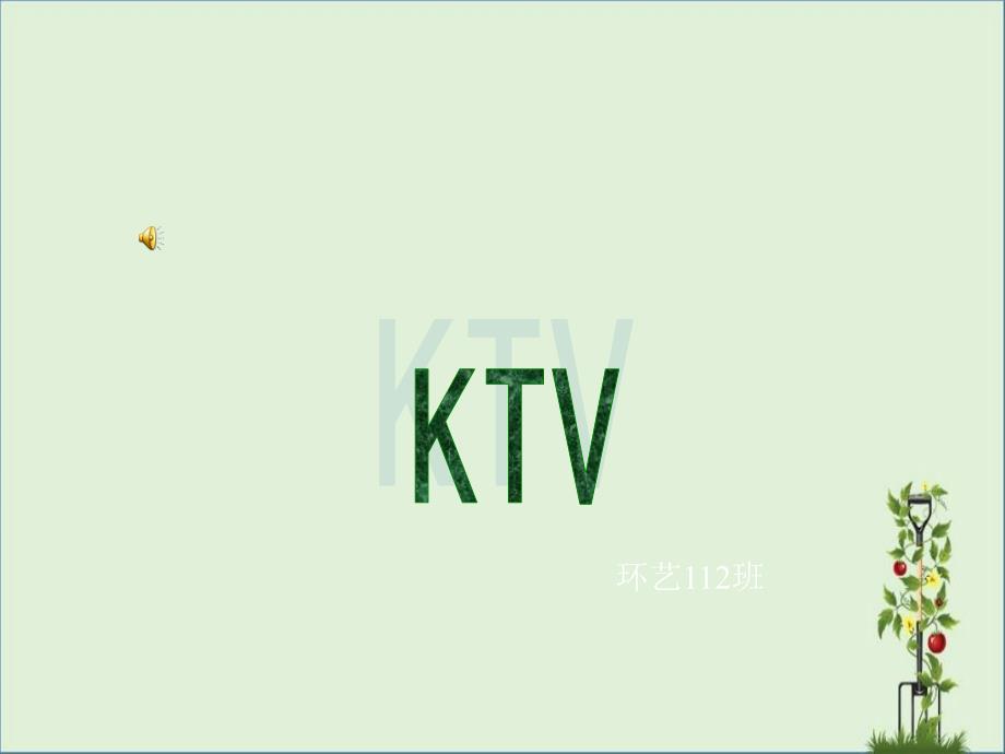 ktv調(diào)研報告-ppt資料_第1頁