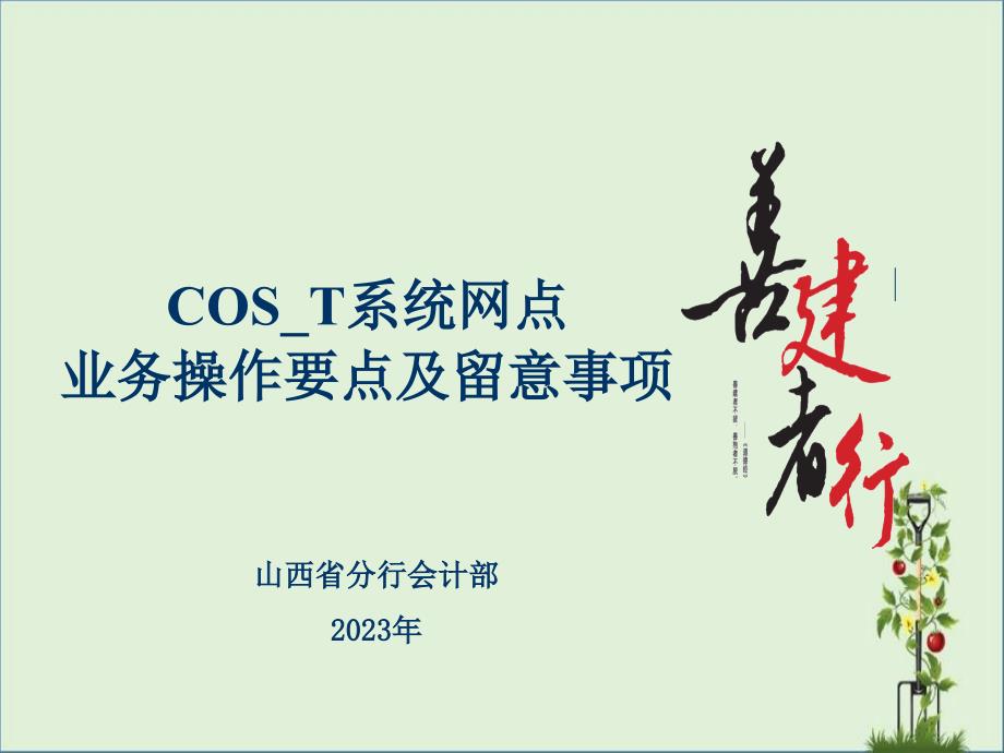 COS-T上线网点业务操作要点及注意事项_第1页