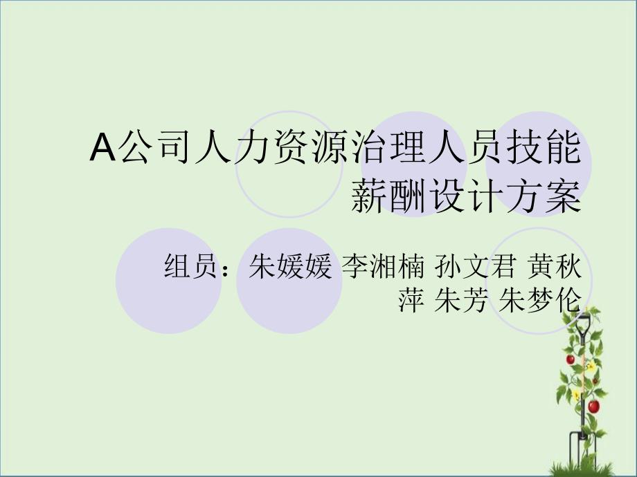 A公司人力资源管理人员技能薪酬设计方案_第1页