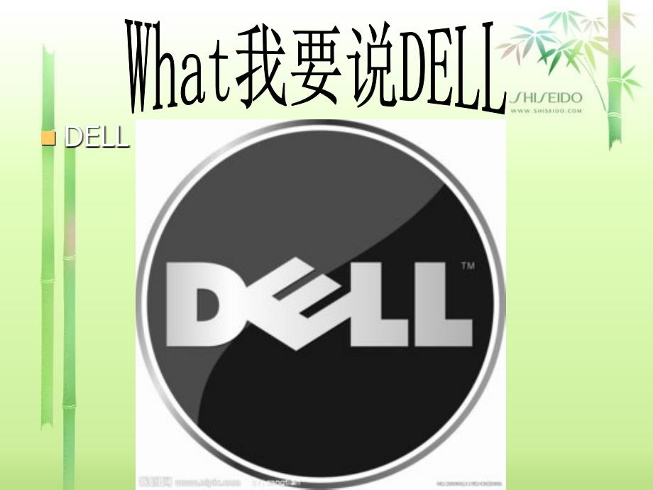 DELL公司成本战略探素_第1页