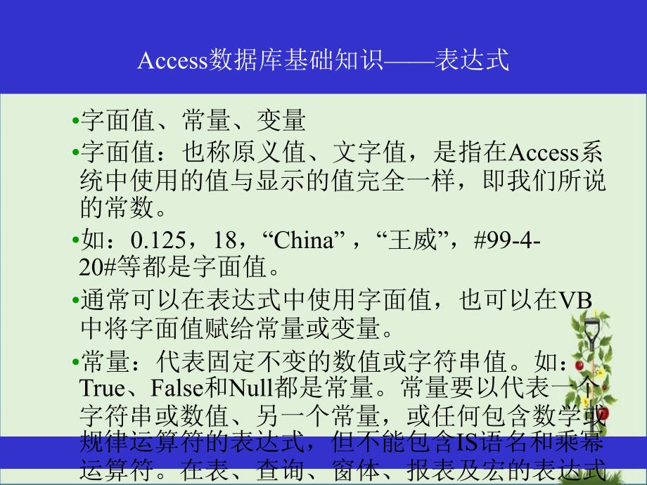 access的表达式语句及通配符_第1页