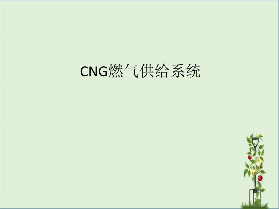 CNG燃气供给系统内培稿资料_第1页