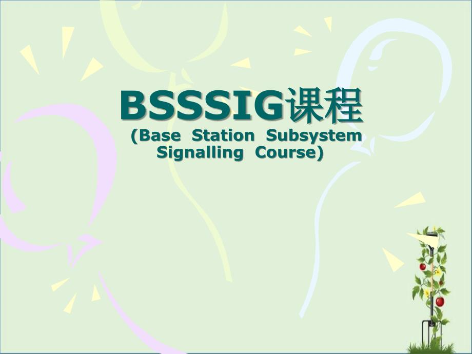 BSSSIG课程全解_第1页