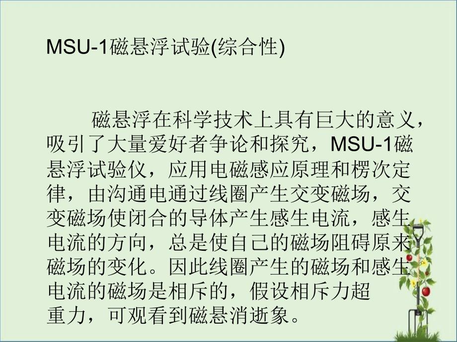 MSU磁悬浮实验综合性_第1页