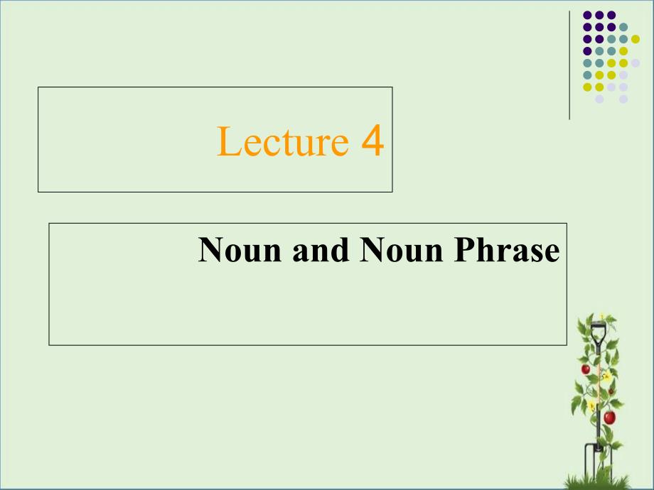 Lecture-4-noun-and-noun-phrase_第1页