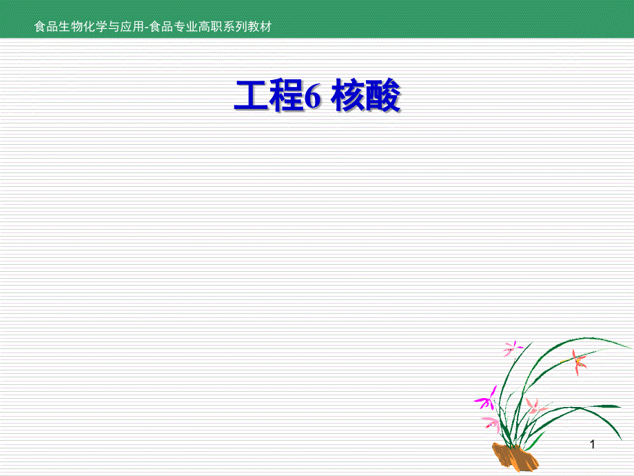 食品生物化学与应用项目6-任务63核酸的性质_第1页