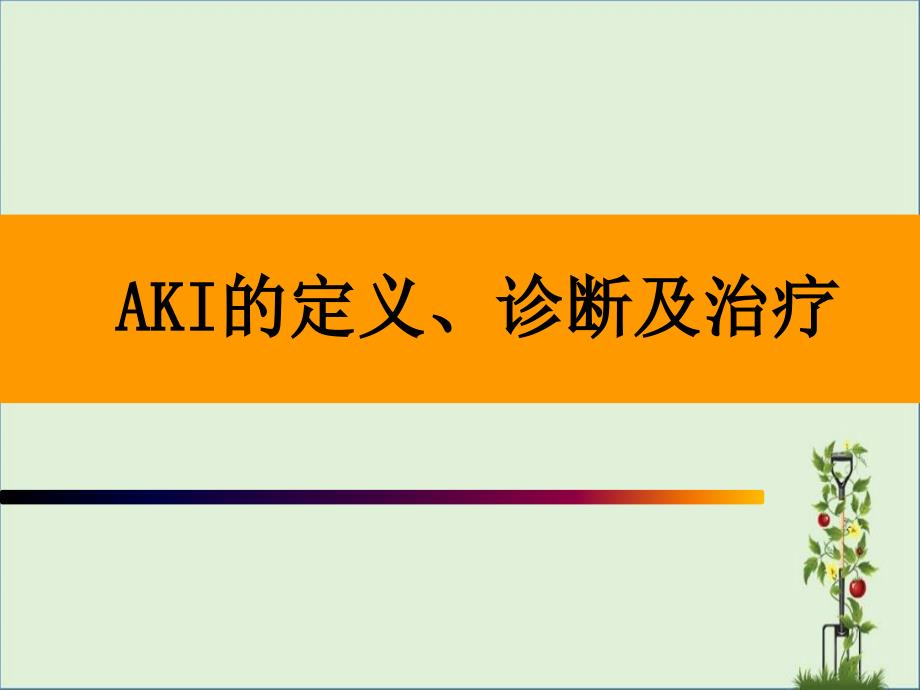 AKI的定义、诊断及治疗(2010-9-1)课稿_第1页