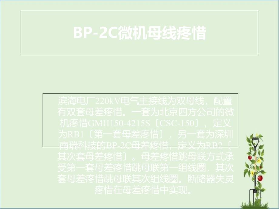 BP-2C-母差保护剖析_第1页