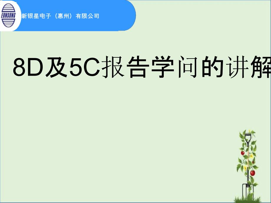 8D及5C报告_第1页