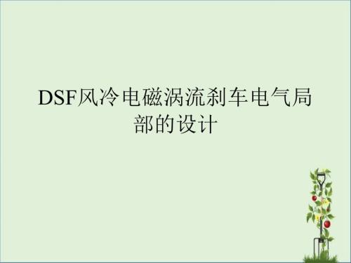 DSF風(fēng)冷電磁渦流剎車電氣部分