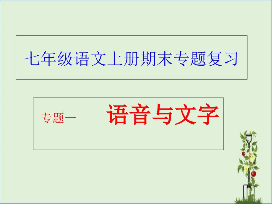 7年级专题复习汇总_第1页