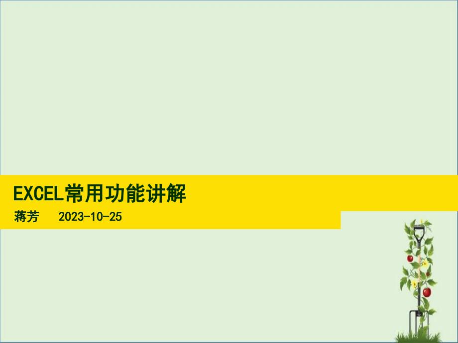 EXCEL常用功能讲解讲述_第1页