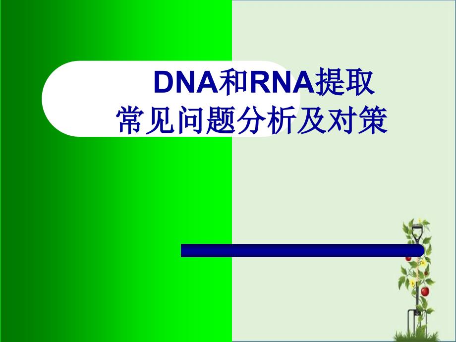 DNA和RNA提取常见问题分析及对策.._第1页