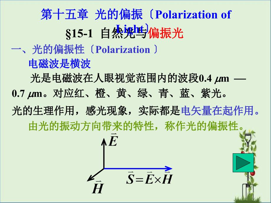 Ch(光的偏振)精讲_第1页