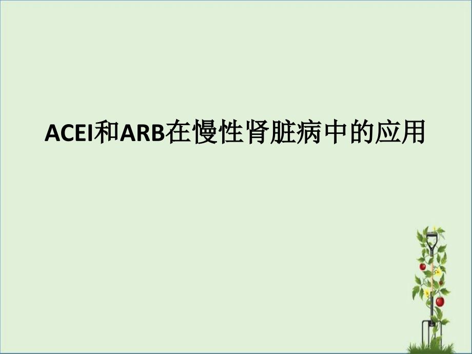 ACEI和ARB在慢性肾脏病中的应用._第1页