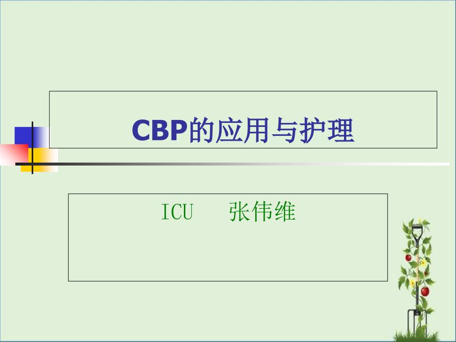 CBP专题讲座-资料_第1页