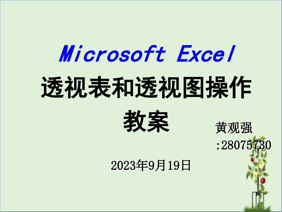 Microsoft-Excel数据透视表和数据透视图操作教案_第1页