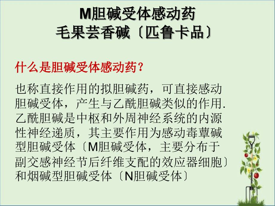 M胆碱受体激动药解析_第1页