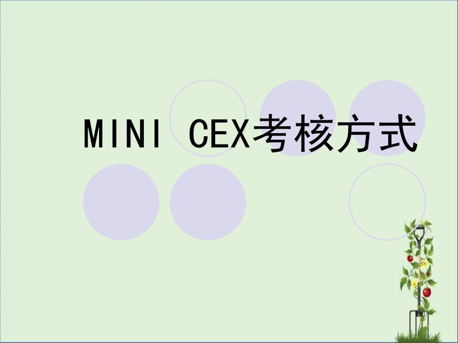 mini-cex考核方式_第1页