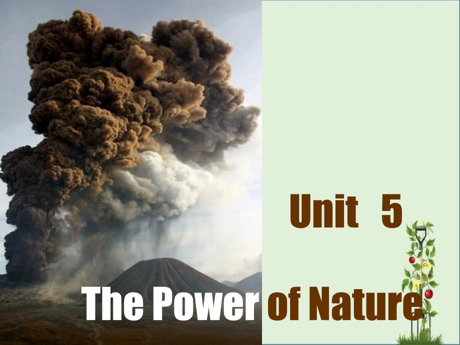 M6U5-READING-the-power-of-nature_第1页