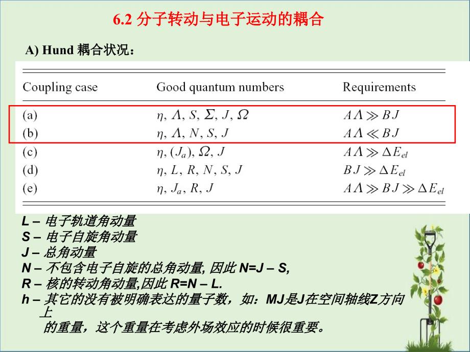 C电子跃迁选择精讲_第1页