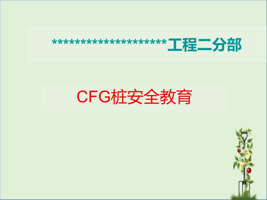 cfg桩安全教育详解_第1页