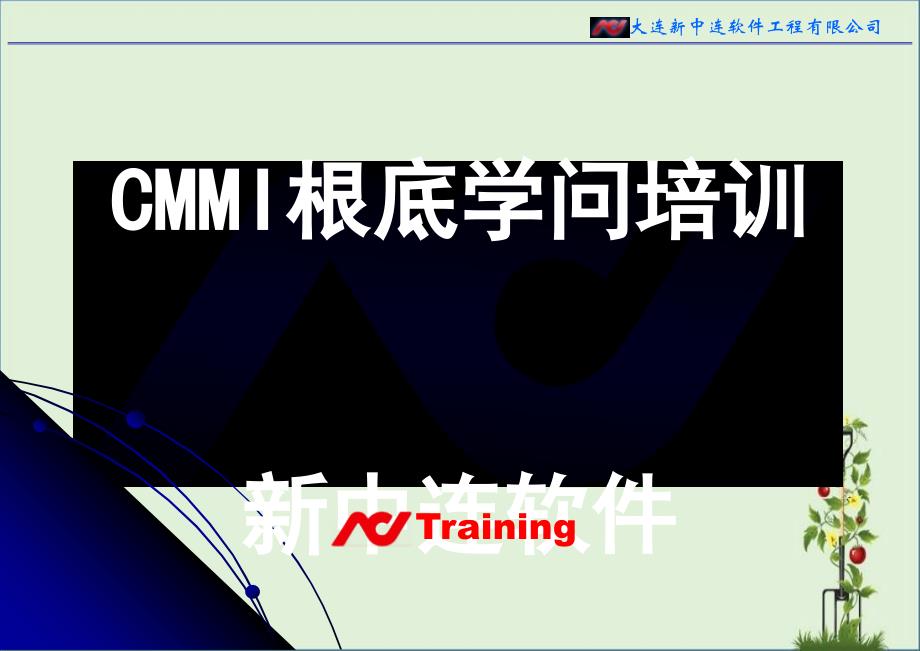 CMMI基础知识培训1.0_第1页