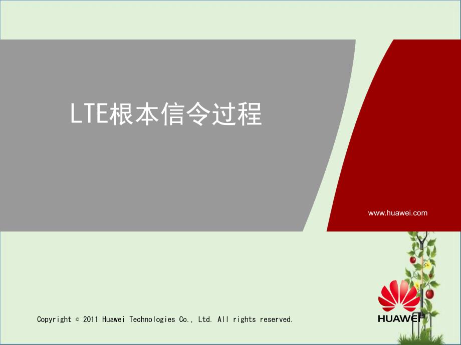 9-LTE基本信令过程详解_第1页