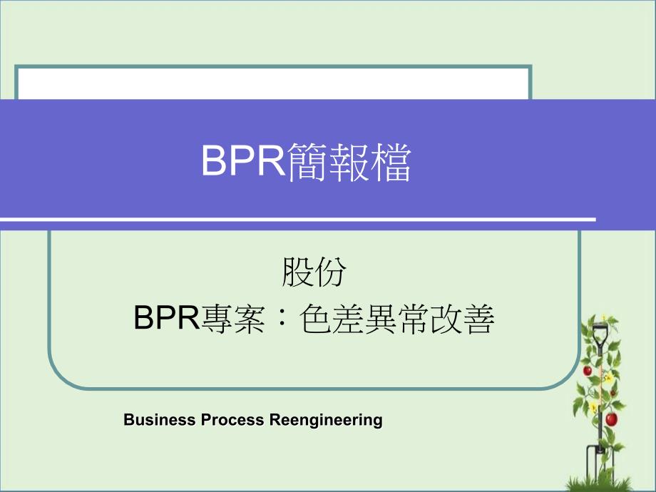 BPI简报档解析_第1页