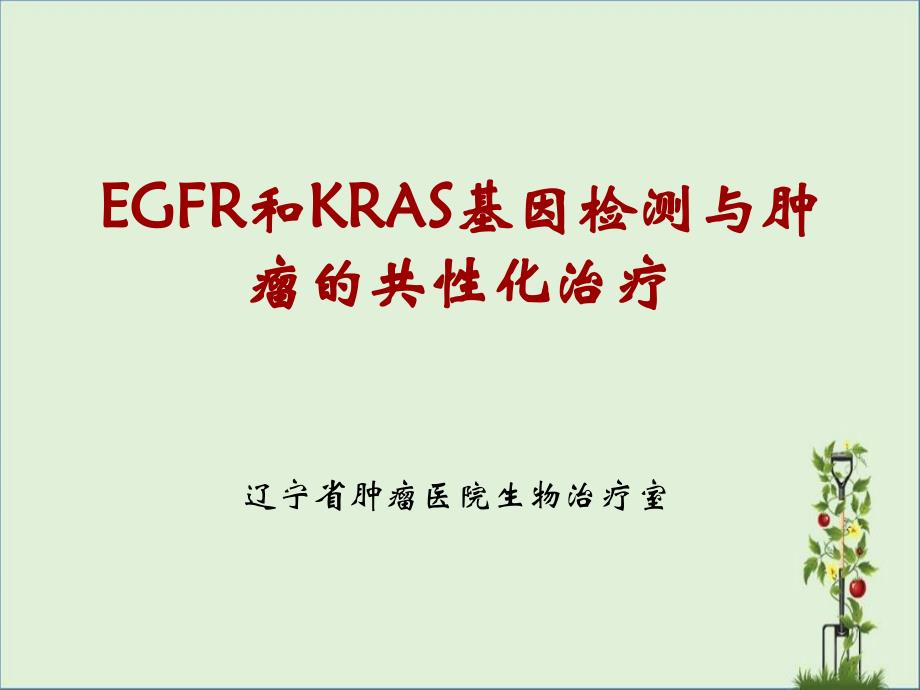 EGFR和KRAS基因检测与肿瘤的个性化治疗_第1页