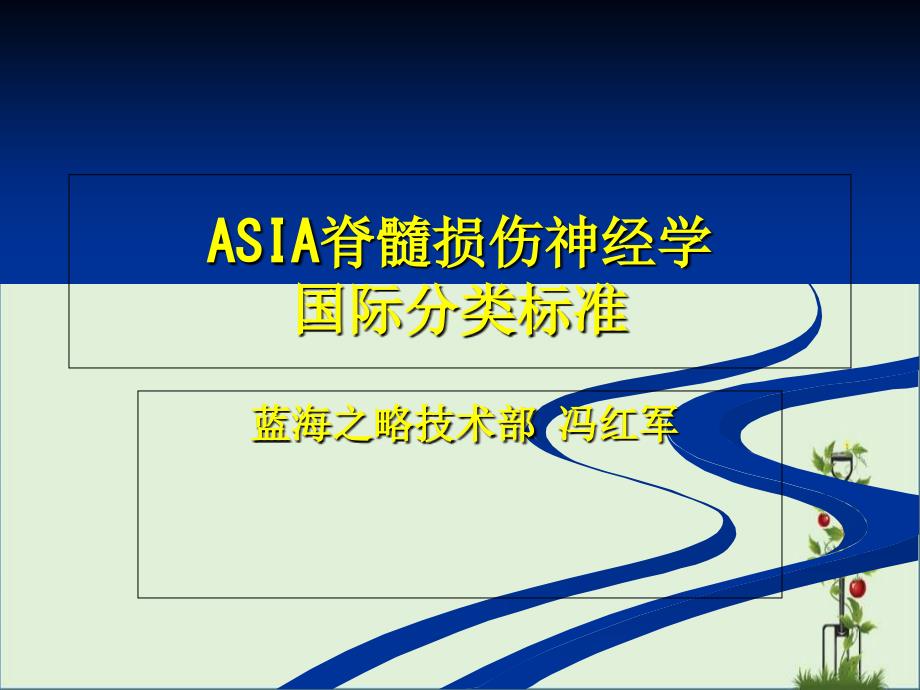 ASIA脊髓损伤神经学国际分类标准_第1页