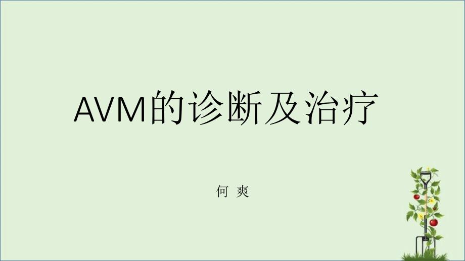 AVM的诊断及治疗_第1页