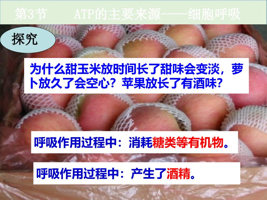 ATP的主要来源——细胞呼吸课件ppt_第1页