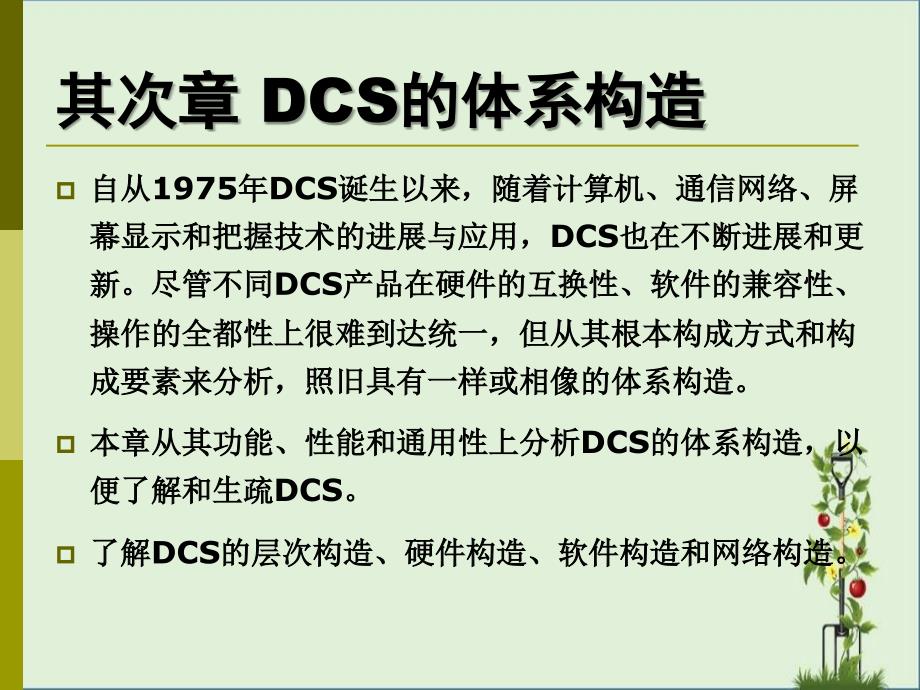 DCS体系结构分析_第1页