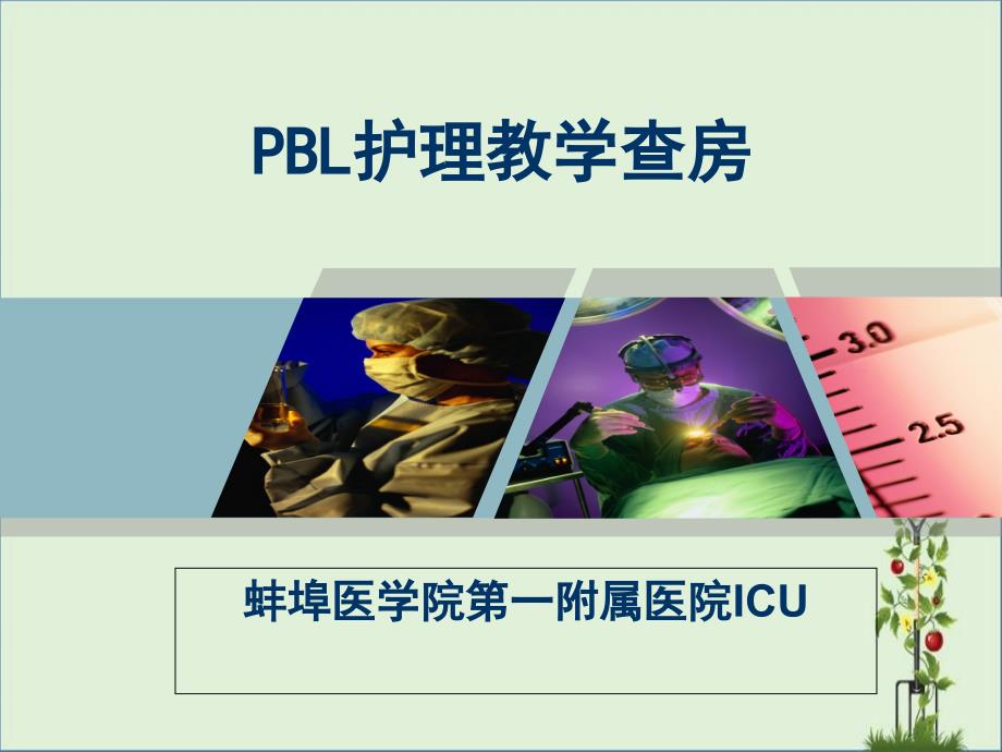 PBL护理教学查房_第1页