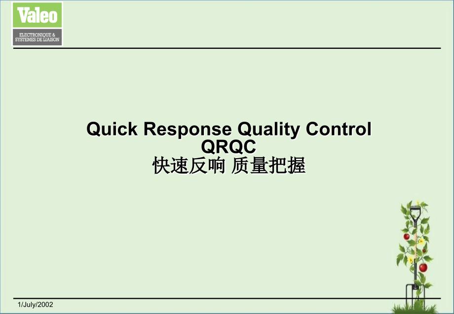 QRQC快速反应质量控制(Valeo)-02.7_第1页